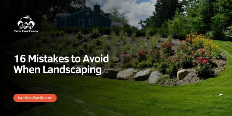 16 Mistakes to Avoid When Landscaping In 2026 – Must Read!