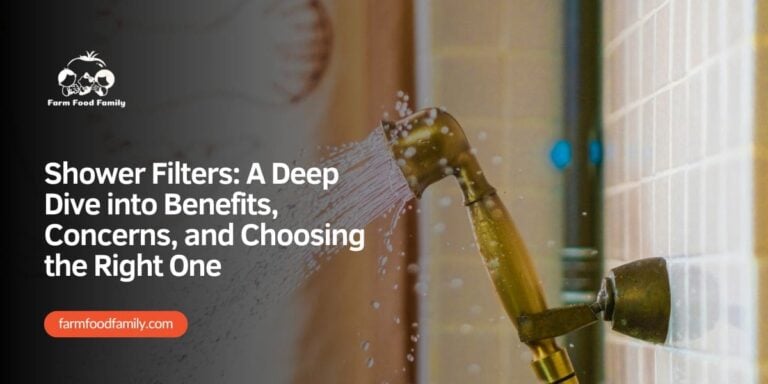Shower Filters: A Deep Dive into Benefits, Concerns, and Choosing the Right One