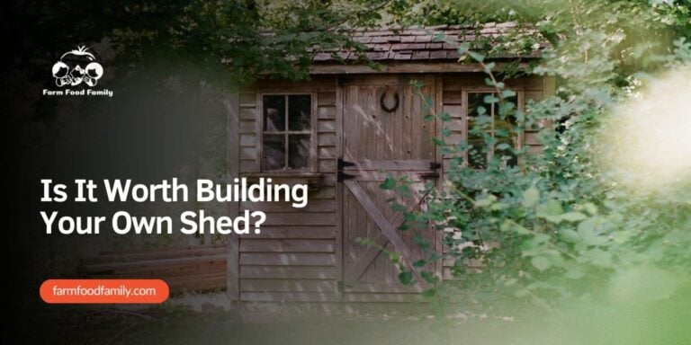 Is It Worth Building Your Own Shed?