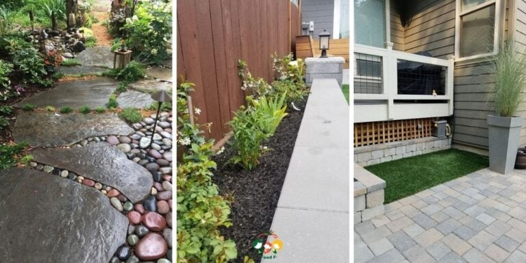 10 Creative Dog Potty Area Ideas for Your Backyard Oasis