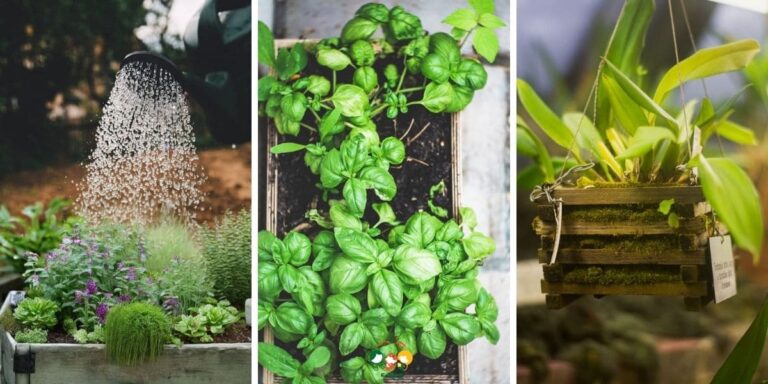 10 Little-Known Container Gardening Hacks That Can Change the Way You Grow