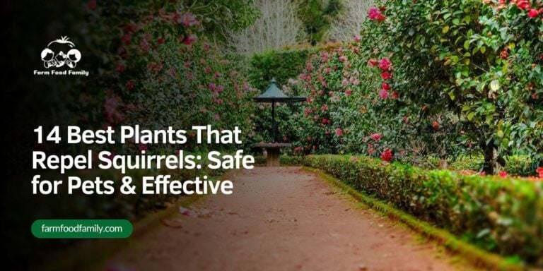 14 Best Plants That Repel Squirrels: Safe for Pets & Effective