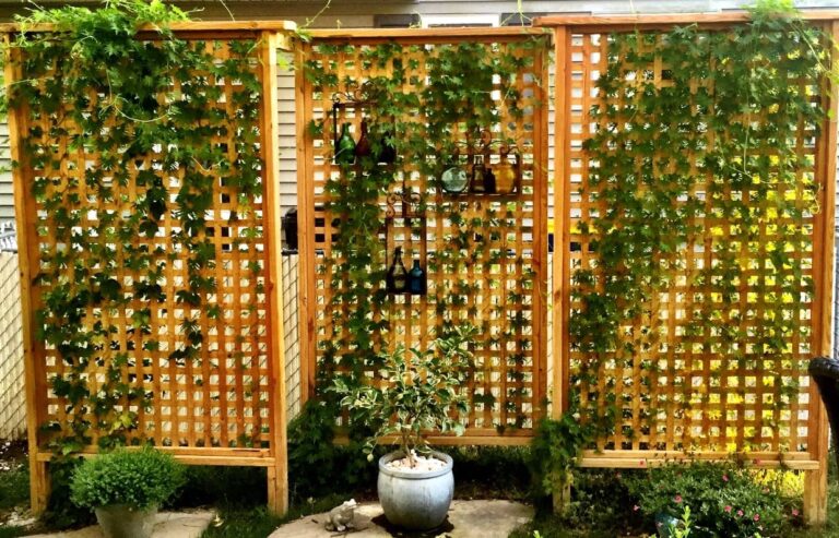 How to Create Privacy in Your Backyard Without a Fence (30 Creative Ideas)