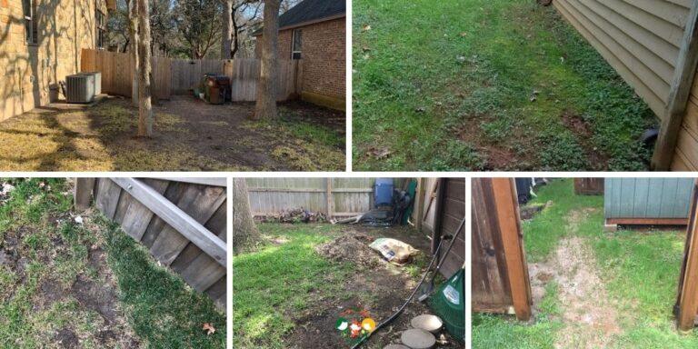How to Fix a Muddy Backyard