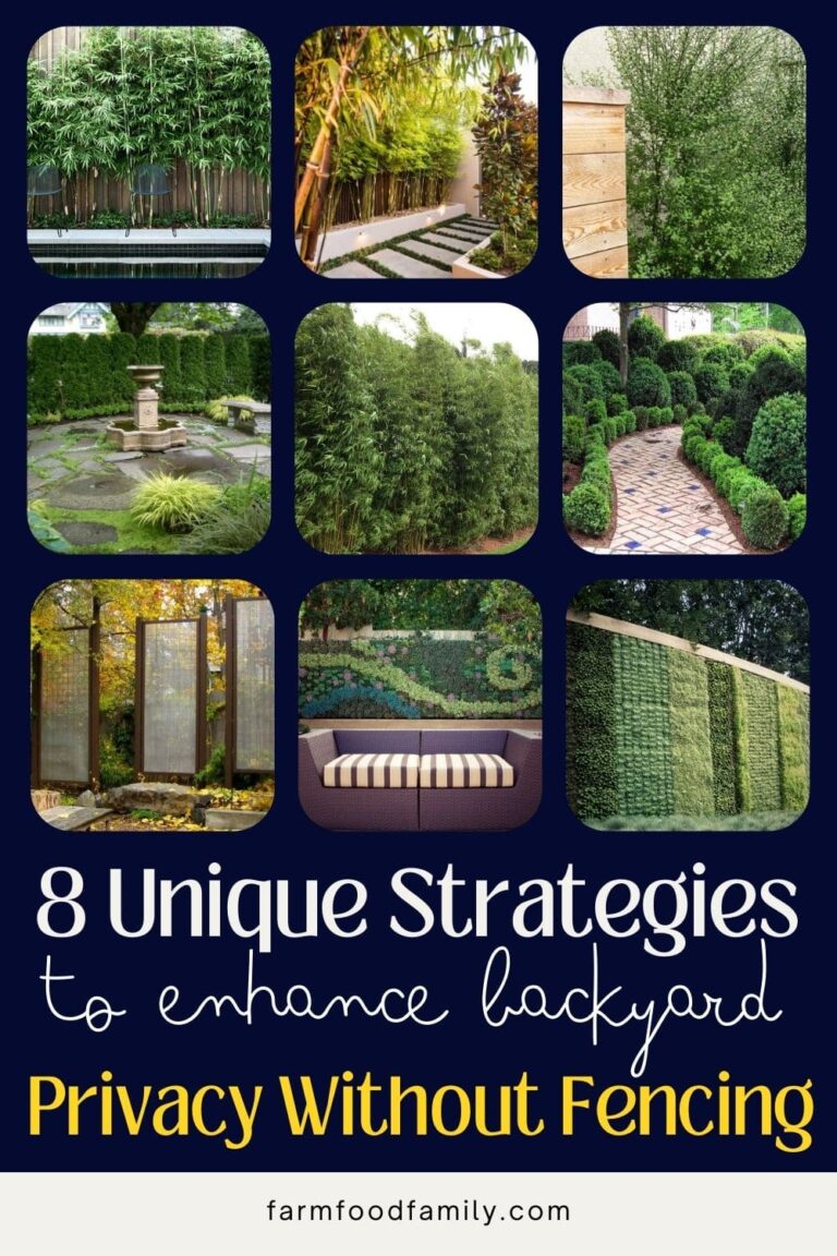 How to Create Privacy in Your Backyard Without a Fence (30 Creative Ideas)