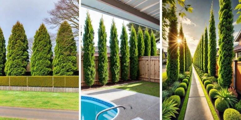 15+ Beautiful Tree Fence Ideas to Boost Your Garden’s Appeal