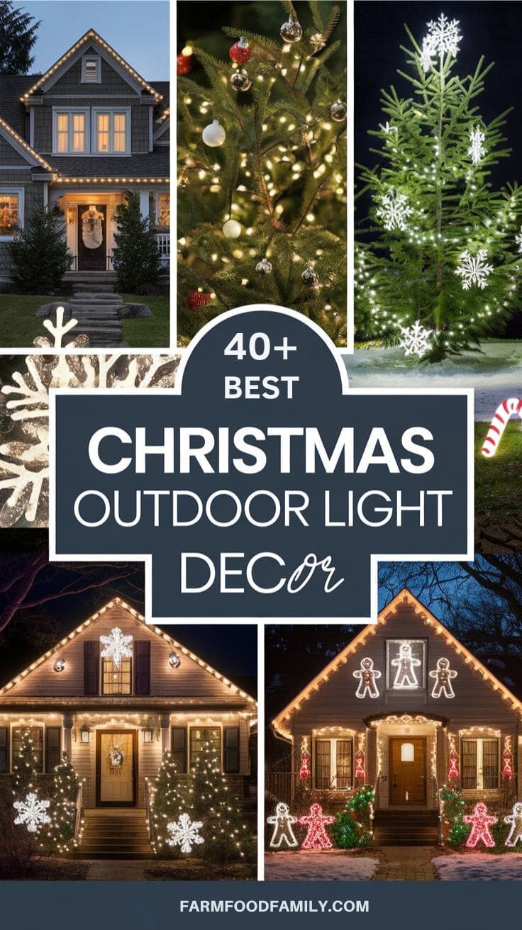 Best Christmas Outdoor Light Decor 1