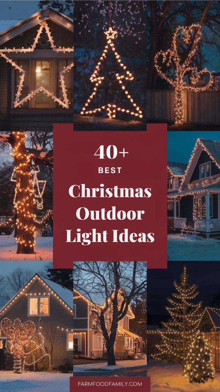 Best Christmas Outdoor Light Decor 17