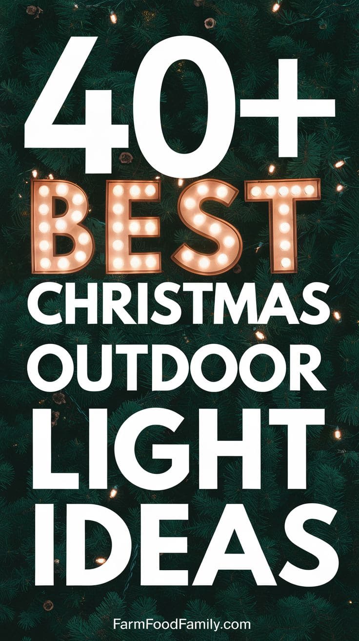 Best Christmas Outdoor Light Decor 20
