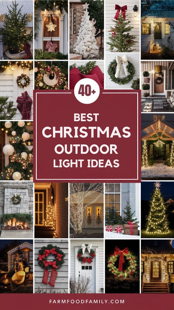 Best Christmas Outdoor Light Decor 5