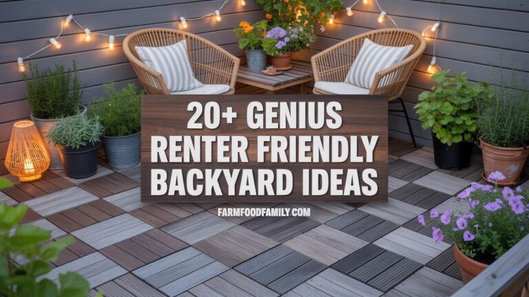 20+ Genius Renter Friendly Backyard Ideas You’ll Wish You Knew Sooner