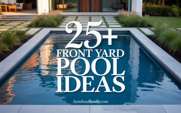 20+ Best Front Yard Pool Ideas (Check Your Zoning First)