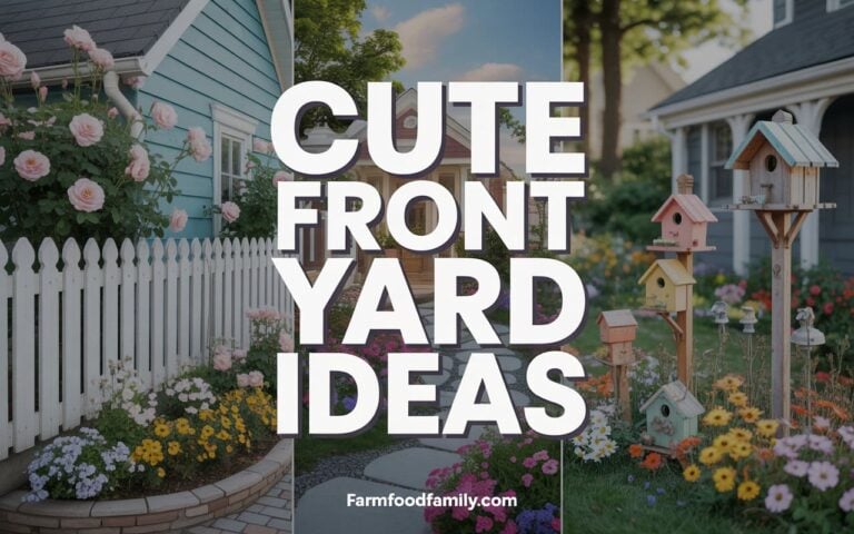 15+ Adorable Cute Front Yard Ideas for Charming Curb Appeal