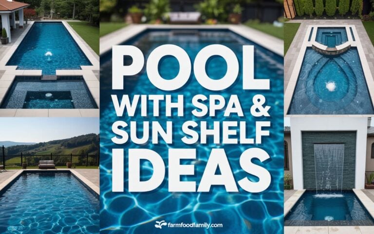 25+ Stunning Rectangle Pool with Spa and Sun Shelf Ideas