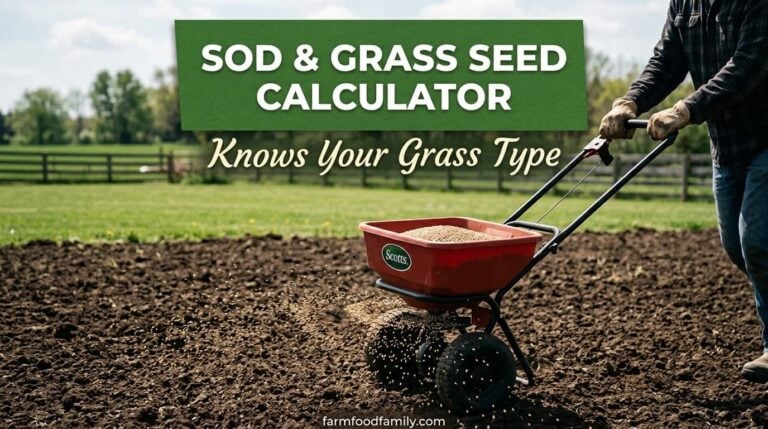 Sod & Grass Seed Calculator: The Right Rate for Your Grass Type