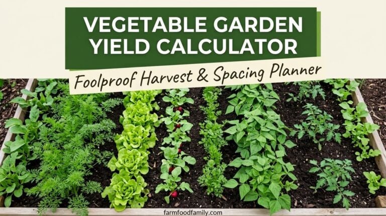 Vegetable Garden Yield Calculator: Foolproof Harvest & Spacing Planner