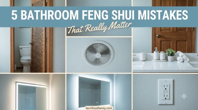 5 Feng Shui Bathroom Mistakes You Need to Avoid — And How to Fix Them