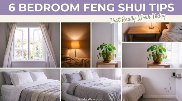 Feng Shui Your Bedroom Today: 6 Quick Fixes, Including One With Real 2024 Research Behind It