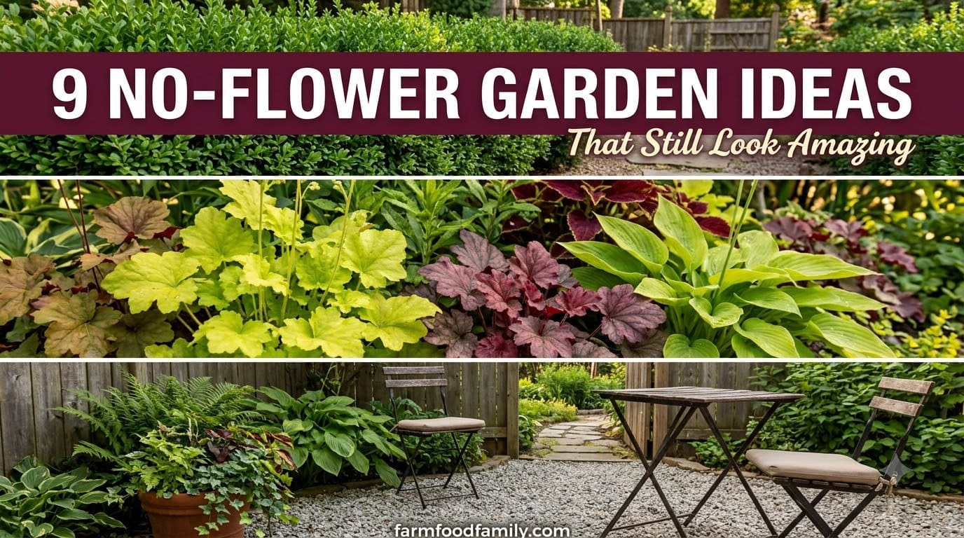 15 Striking No Flower Garden Ideas Built on Foliage, Not Blooms