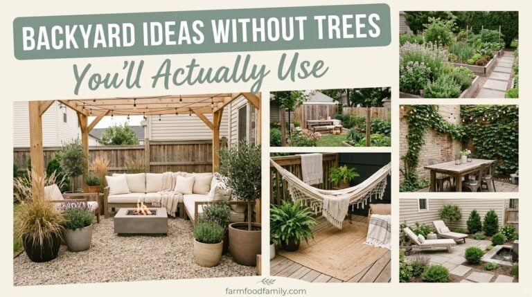 Backyard Ideas Without Trees: 11 Real Shade and Privacy Fixes That Actually Work