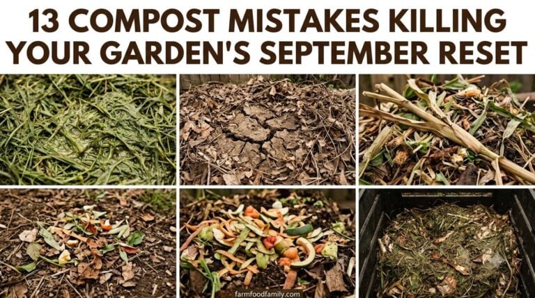 13 Compost Pile Mistakes Sabotaging Your Garden’s September Reset
