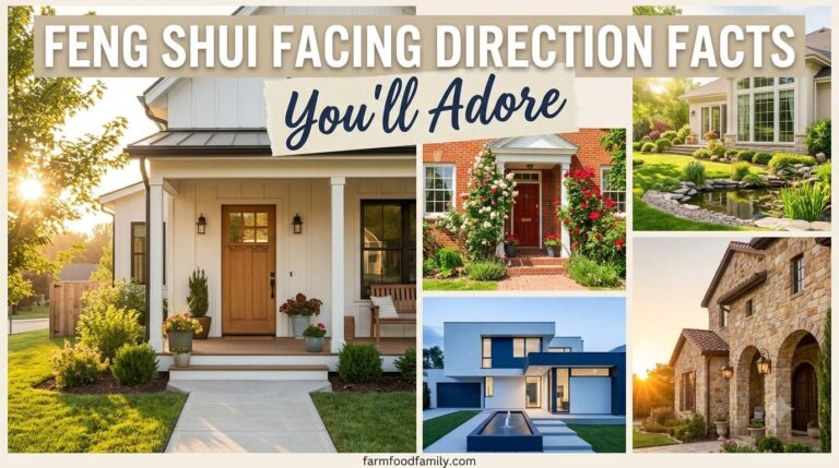 5 Things You Need to Know About Feng Shui and Your Home’s Front-Facing Direction