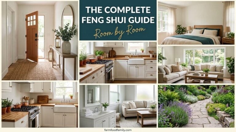 Feng Shui House Rules by Room: The Complete Guide to Every Space in Your Home