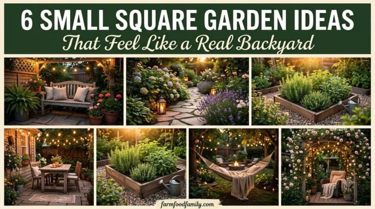 Small Square Garden Ideas: 9 Genuinely Useful Ways to Make a Boxy Yard Feel Bigger