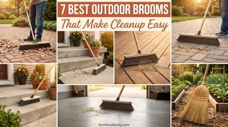 7 Best Outdoor Brooms for a Dependably Clean Yard