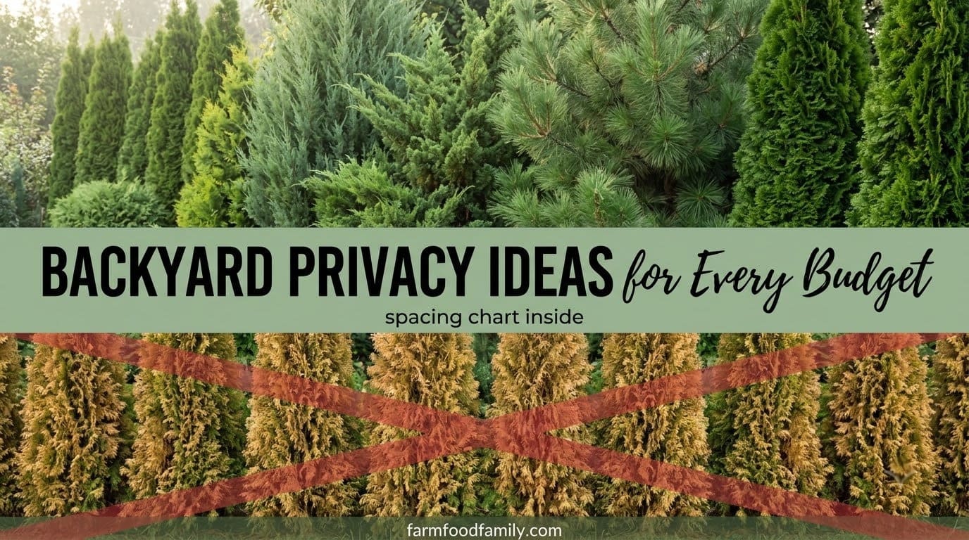 15 Clever Backyard Privacy Ideas for Every Budget